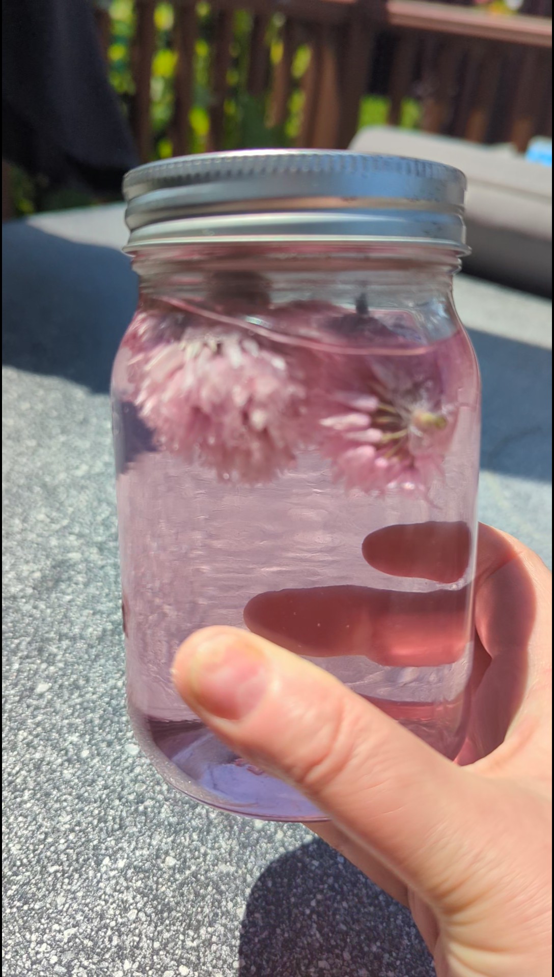 Chive Blossom Vinegar