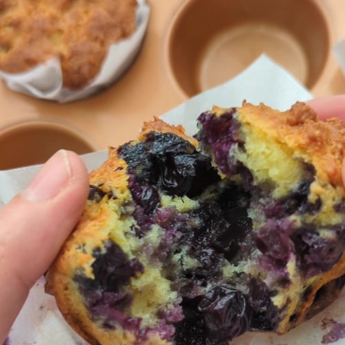 Small Batch Blueberry Orange Muffins